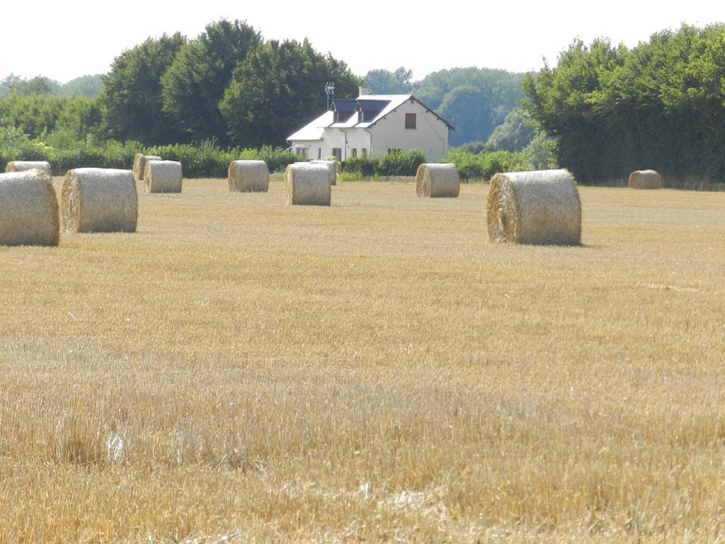 Gite La Grenouillere Esqueheries Exterior foto